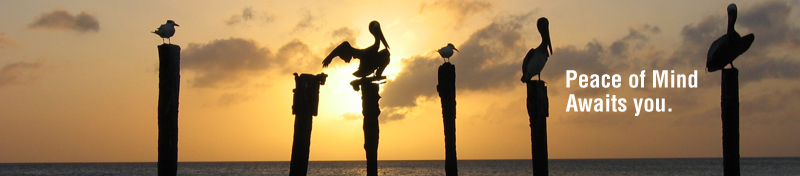 Poljak Law Doors to Peace